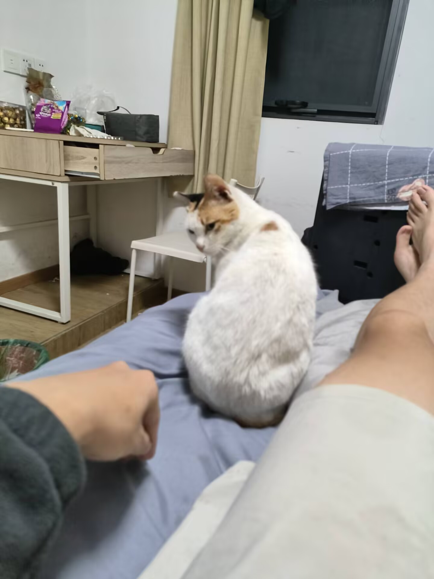五彩斑斓的冬日