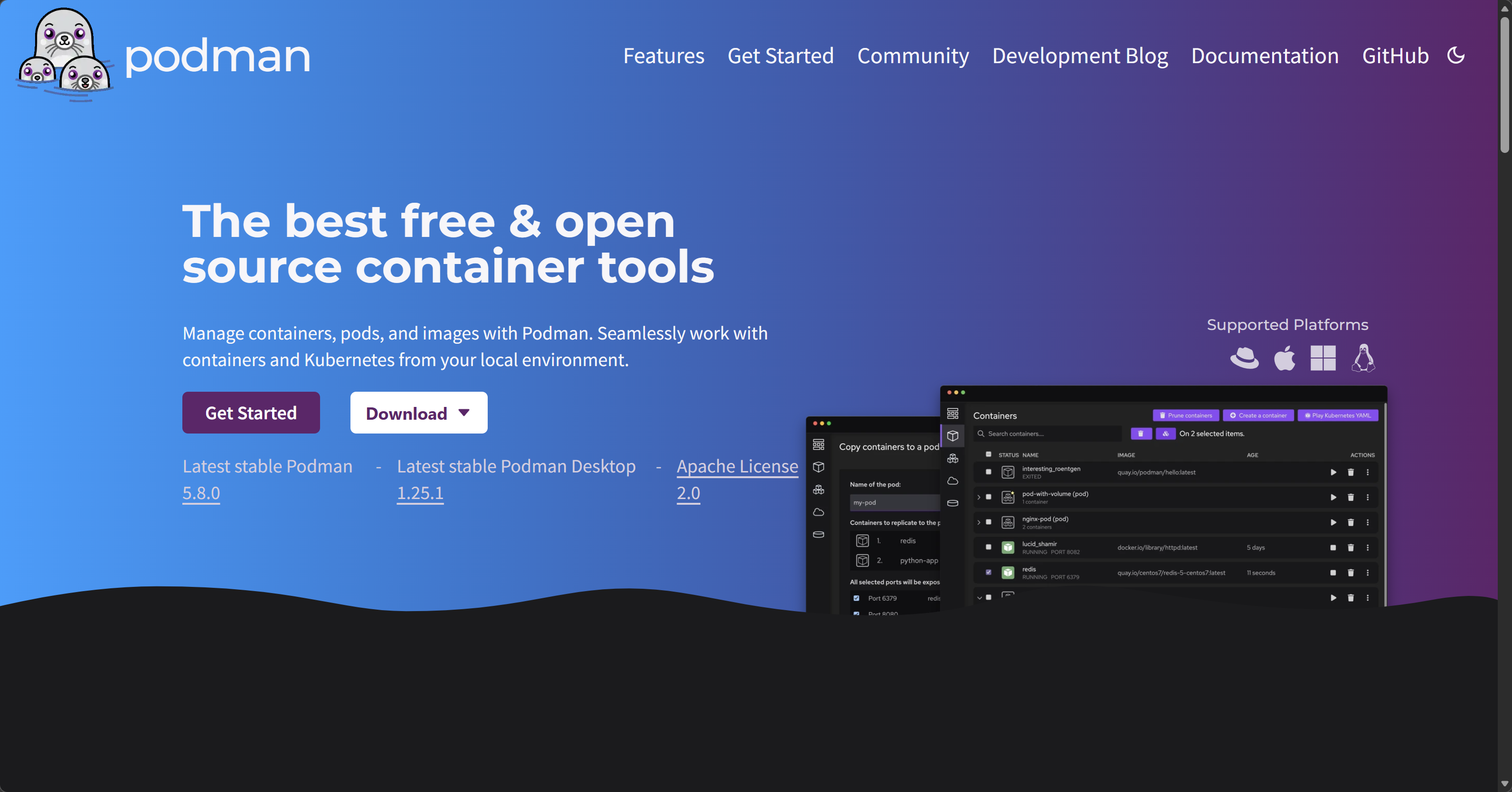 容器化 (Containerize) 运营